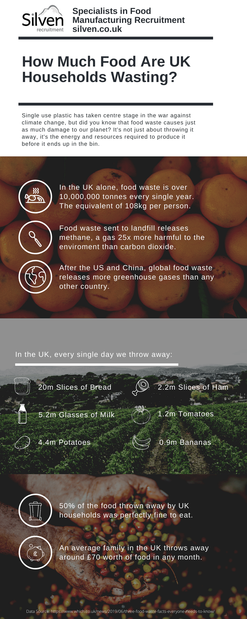 silven food waste infographic